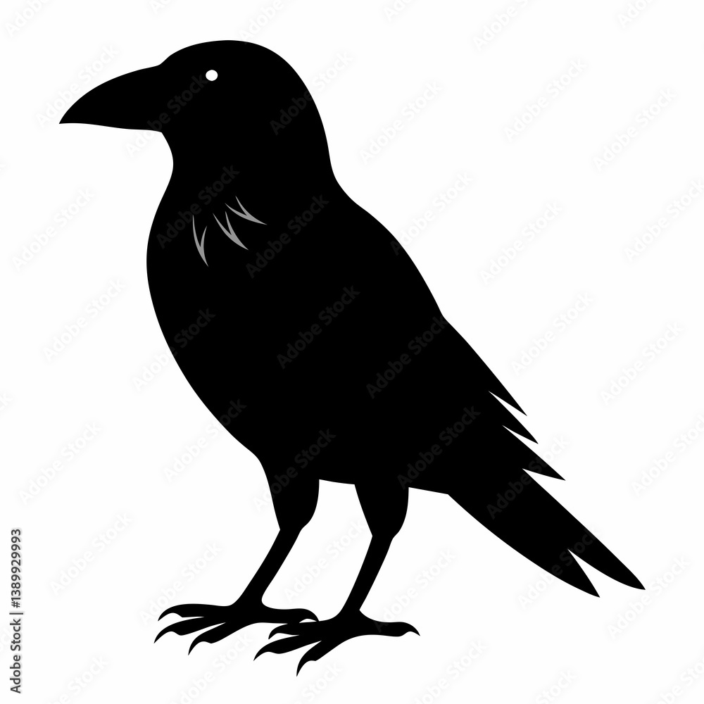 Obraz premium Sleek Black Crow Silhouette