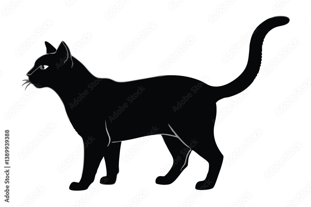 Black cat silhouette and vector illustration. Black cat silhouette and vector illustration.
