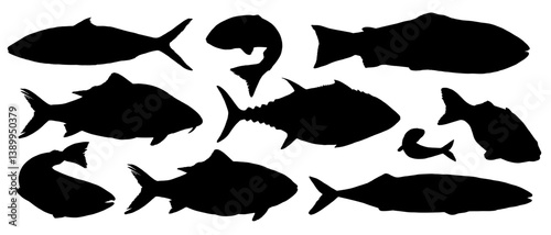 Vector set of fish silhouettes in black and white. Features various species like tuna, trout, and mackerel in simple, abstract cutout style. For logos, icons, seafood packaging and marine designs