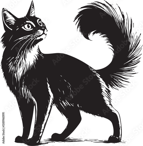 Somali Cat Breed Purebred Pet Black and White Vector Illustration, Sketch Drawing Line Linear Symbol Icon Engraving, Hand-drawn Isolated