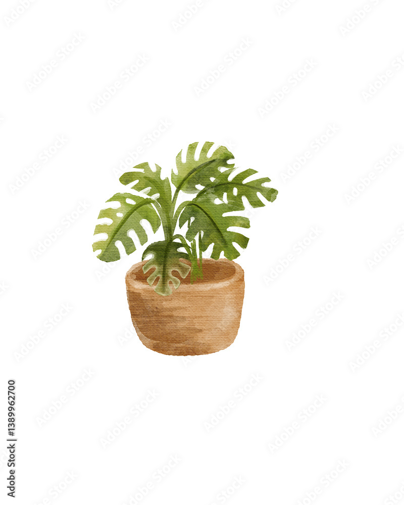 Fototapeta premium Watercolor Illustration: Lush Monstera Deliciosa in Rustic Pot