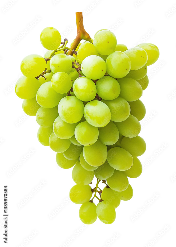 A bunch of green grapes, Fresh grape vine on Png Format and Transparent Background A bunch of green grapes, Fresh grape vine on Png Format and Transparent Background