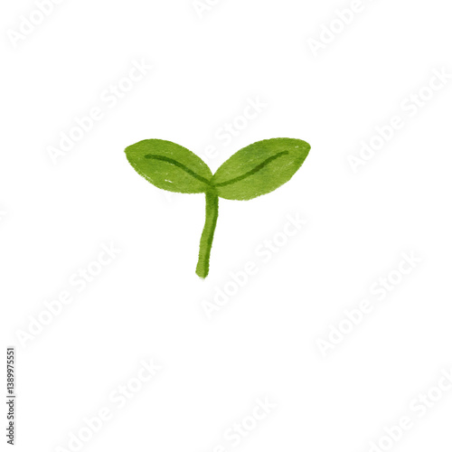 Watercolor Illustration of a Delicate Emerging Seedling