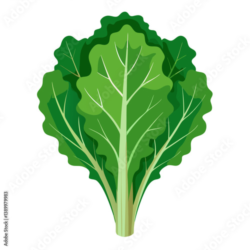 kale or leafy greens no background vector file.