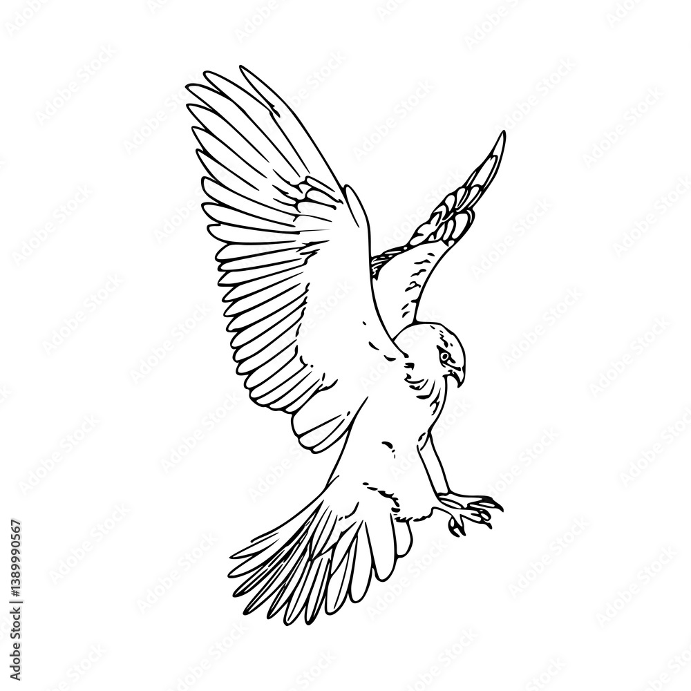 Obraz premium hand-drawn flying falcon sketch