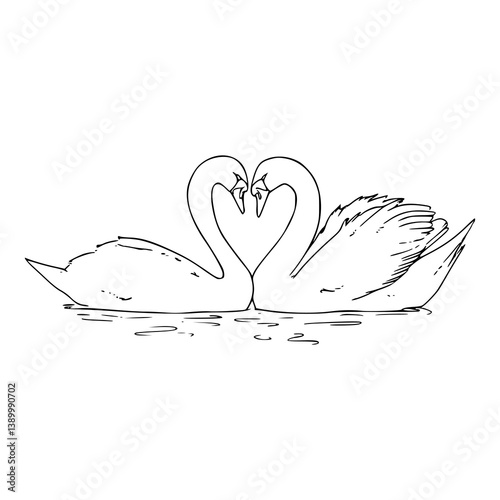 romantic swan in love outline illustration