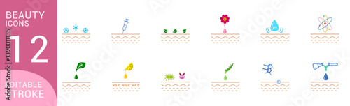 beauty skin epidermis condition care treatment element icon vector illustration colors. cosmetic, skincare, make up spa, salon. beauty product
