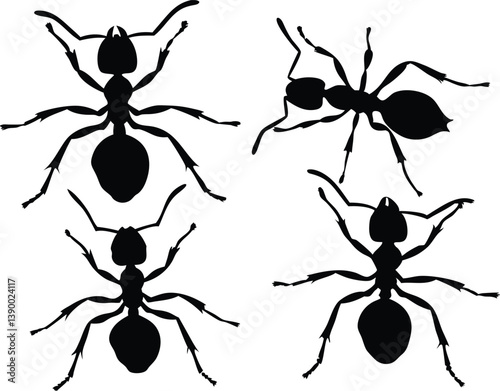 Ant black silhouette collection, Ant icon vector 
