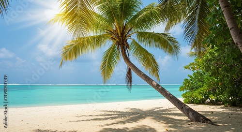 A picturesque view of a palm tree-lined beach, bathed in sunlight. Clear blue water gently laps against the sandy shore