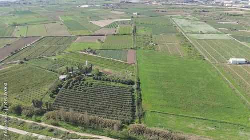 Aerial drone view captures a patchwork of diverse agricultural fields under bright sunlight. Shows tilled land, green crops, orchards, and rural structures.

