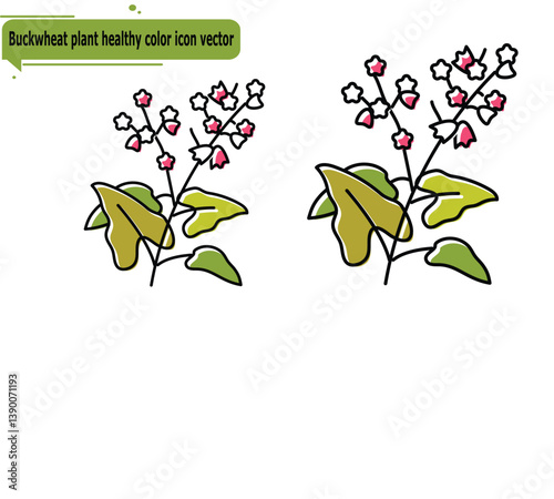 Buckwheat plant healthy color icon vector