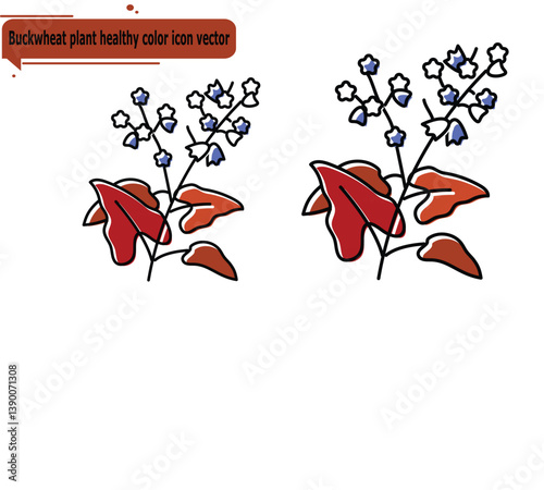 Buckwheat plant healthy color icon vector