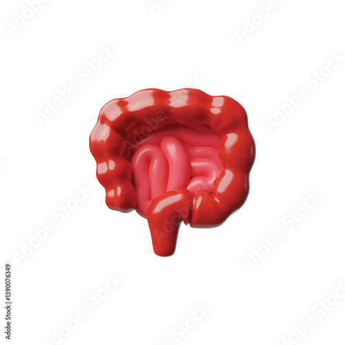 3D vector illustration of human intestine, digestive system.