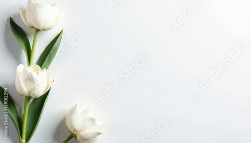 Wallpaper Mural Unblemished white surface, perfect for mockups, backdrop, solid, light Torontodigital.ca