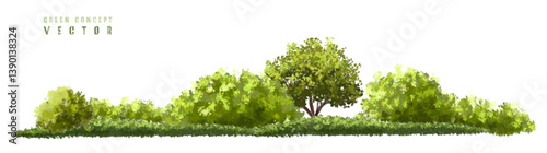  Vector watercolor green  tree or forest side view isolated on white background for landscape and architecture drawing,elements for environment or and garden,Shrub for section