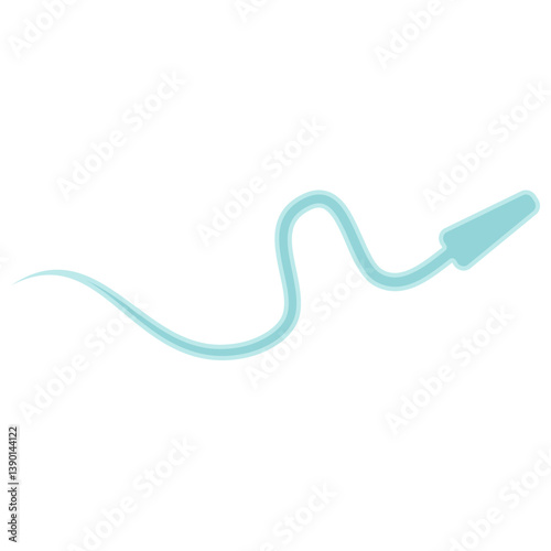 Human Sperm tail Anatomy