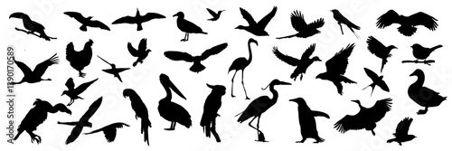 Bird silhouette vector set, diverse bird shape black silhouettes on white background, illustration of flying, perching birds, suitable for nature, wildlife designs