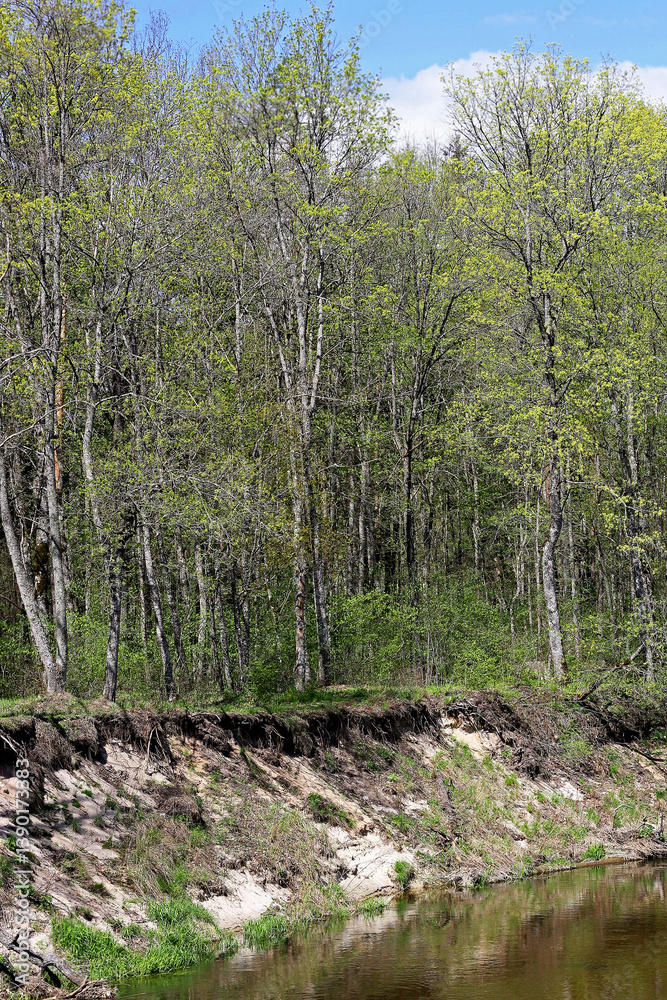 Spring on the river Bank. Spring on the river Bank.