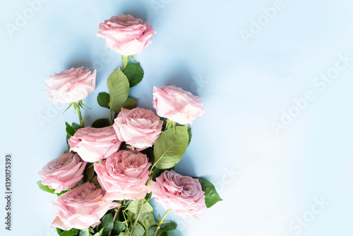 Blooming pink rose flowers bouquet on blue background for Mother's Day