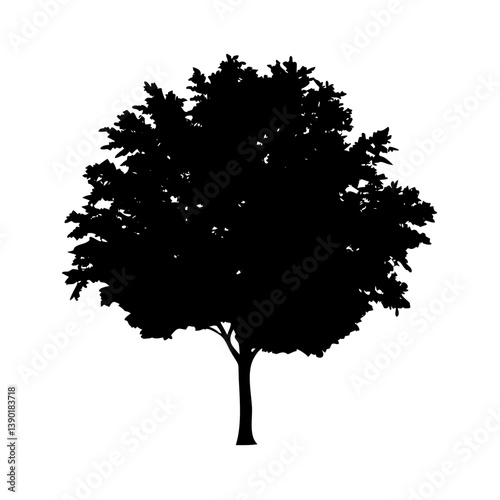elm tree icon, elm tree line art - simple line art of elm tree, perfect for elm tree logos and icons
