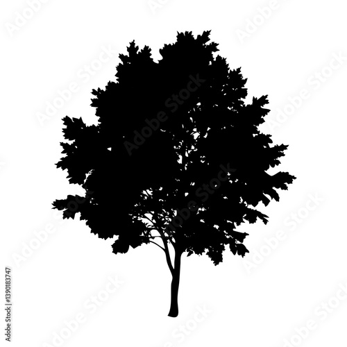 elm tree icon, elm tree line art - simple line art of elm tree, perfect for elm tree logos and icons