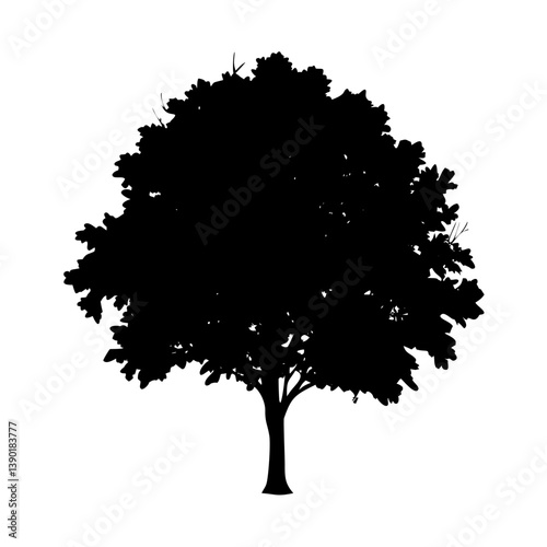 elm tree icon, elm tree line art - simple line art of elm tree, perfect for elm tree logos and icons