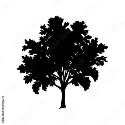 sycamore tree icon, sycamore tree line art - simple line art of sycamore tree, perfect for sycamore tree logos and icons