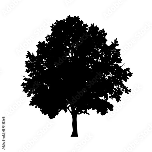 sycamore tree icon, sycamore tree line art - simple line art of sycamore tree, perfect for sycamore tree logos and icons