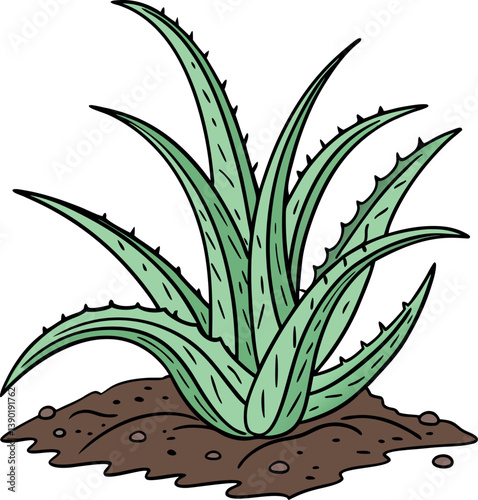 Vector Illustration of Aloe Vera Plant - Perfect for Botanical and Home Decor Designs