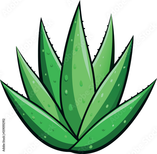 Vector Illustration of Aloe Vera Plant - Perfect for Botanical and Home Decor Designs