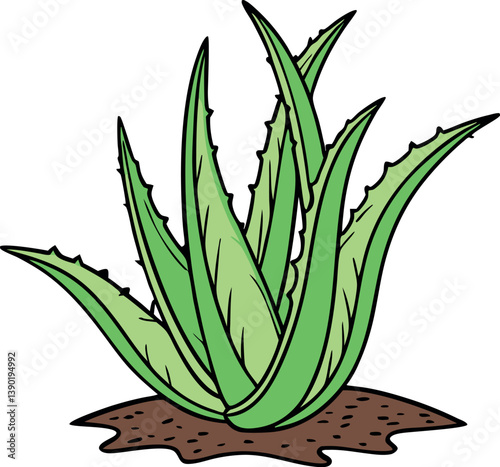 Vector Illustration of Aloe Vera Plant - Perfect for Botanical and Home Decor Designs