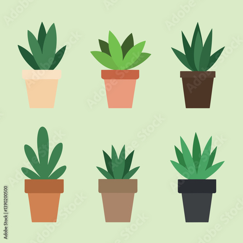 six diverse potted plants in various colors and shapes