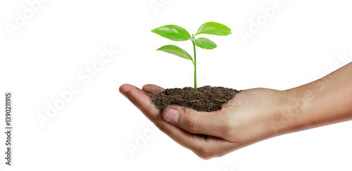 Plant growth action hand nature image earthy environment close-up view sustainability concept