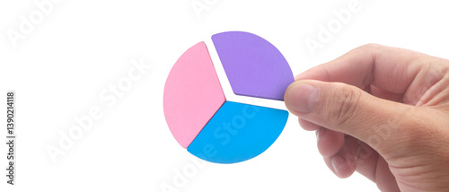 Analyzing data trends with pie chart visualizations office setting infographic professional environment close-up view business insights