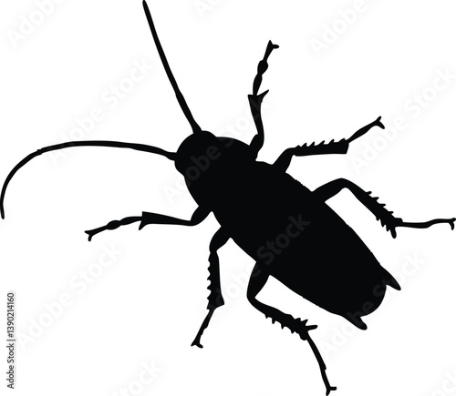 Cockroach silhouette vector, Cockroach black clip art