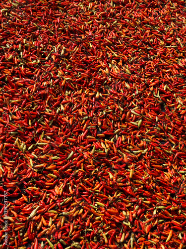 pattern formed from a collection of chilies