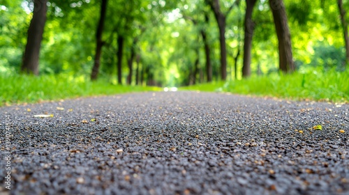 Fototapeta Naklejka Na Ścianę i Meble -  Close up of wet asphalt path in park