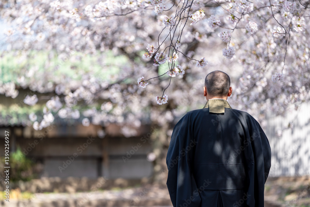 Fototapeta premium 僧侶と樹木葬のイメージ
