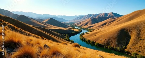Panoramic view of San Emigdio Canyon at Wind Wolves Preserve with rolling hills, golden grass, and a winding river,  rolling hills,  environment