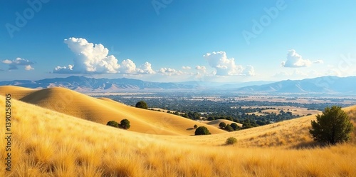 Rolling golden hills stretch out into the distance, with the town of Tehachapi nestled below against a backdrop of clear blue skies and fluffy white clouds,  picturesque,  peaceful