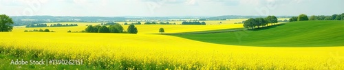 Peaceful countryside scene with vibrant yellow rapeseed fields, scattered trees, and a winding road in the distance,  countryside,  rural