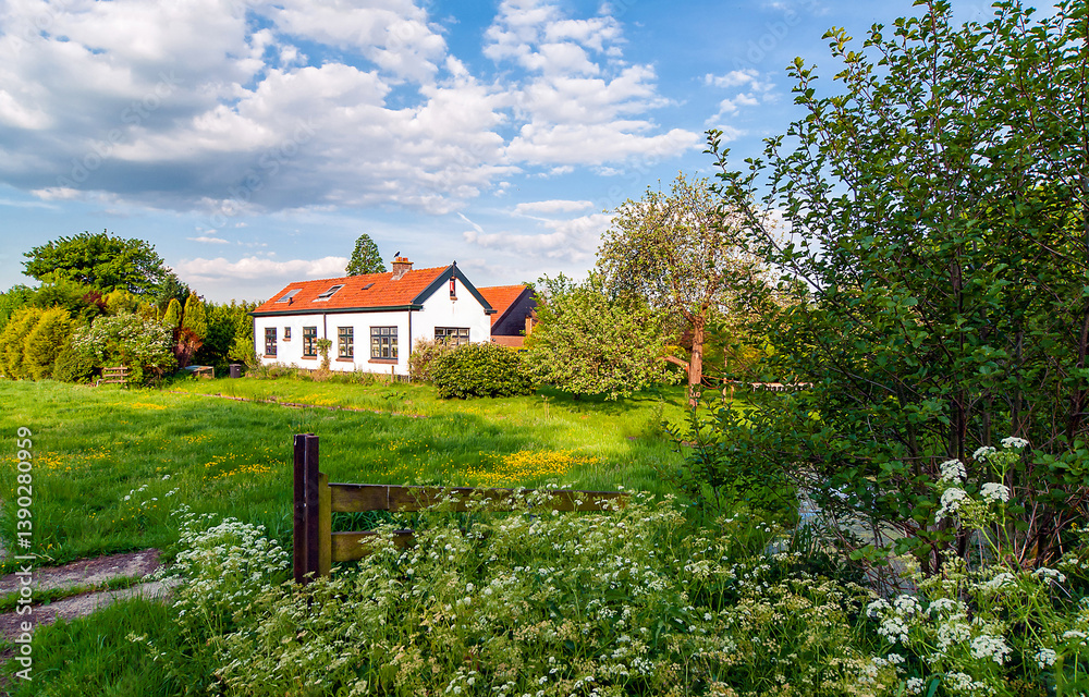 Obraz premium country house in the countryside