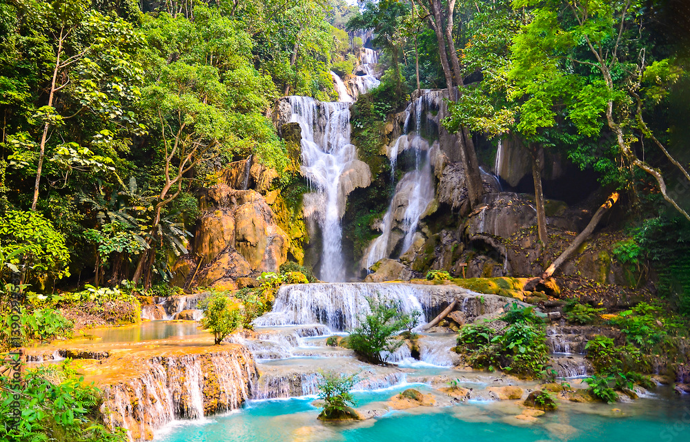 waterfall in the forest