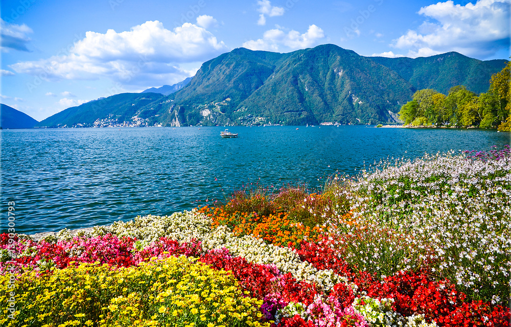 mountain lake flowers