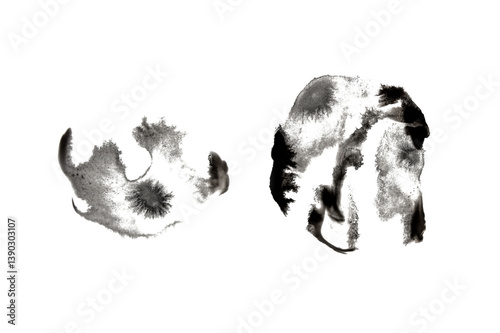 Abstract black ink stains duo with smoky soft texture on transparent background. Grunge emotional watercolor brush marks
