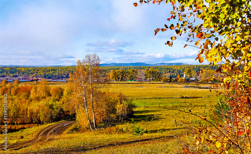 autumn landscape with trees