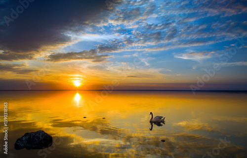 Obraz na płótnie Swan in lake water at dawn w salonie
