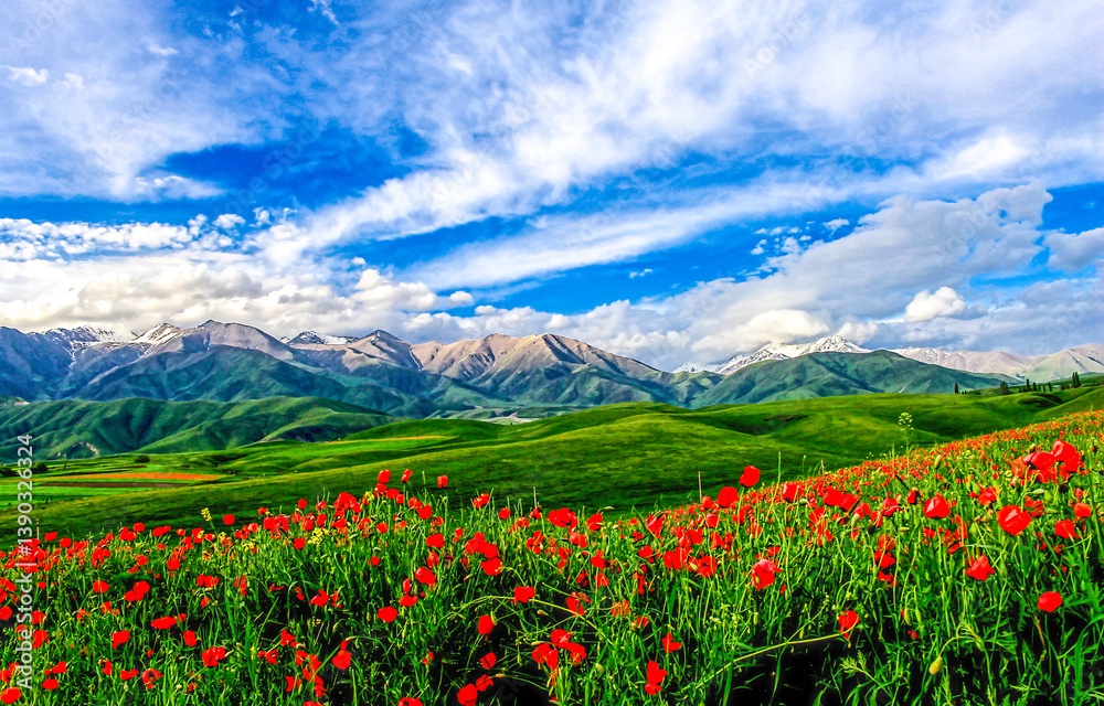 Mountain valley landscape with flowers