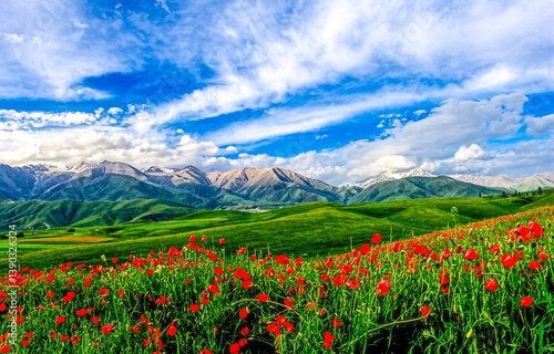 Obraz na płótnie Mountain valley landscape with flowers w salonie
