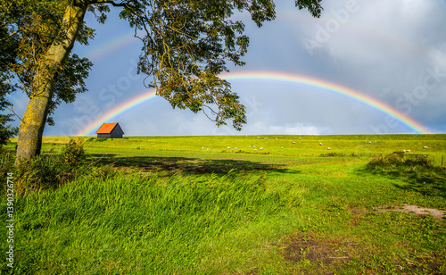 Obraz na płótnie rainbow over the field w salonie